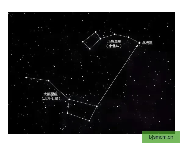 告别迷茫，拥抱精准：类型导航，你的专属智能指南